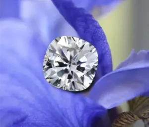 Popularity Lab Grown Diamonds Quorri Canada Copy 400x