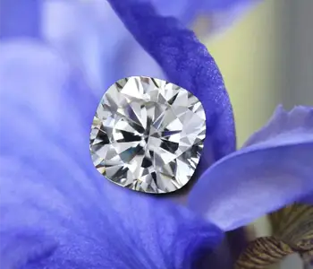 Popularity Lab Grown Diamonds Quorri Canada Copy 400x